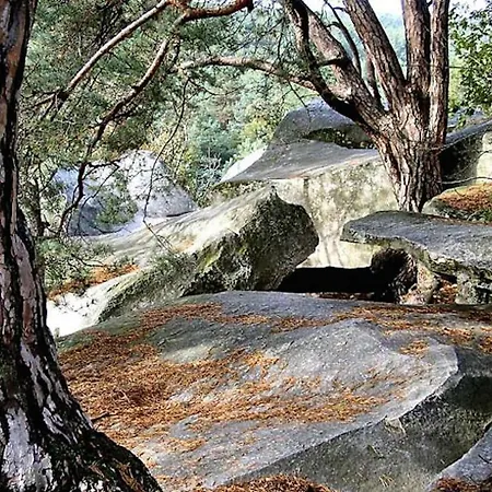 Apartament Sweet Duplex