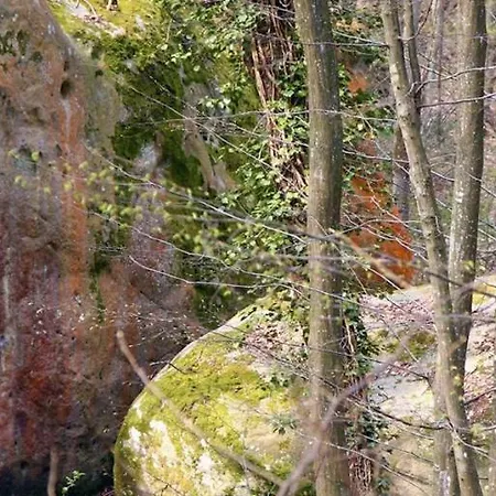 Apartament Sweet Duplex